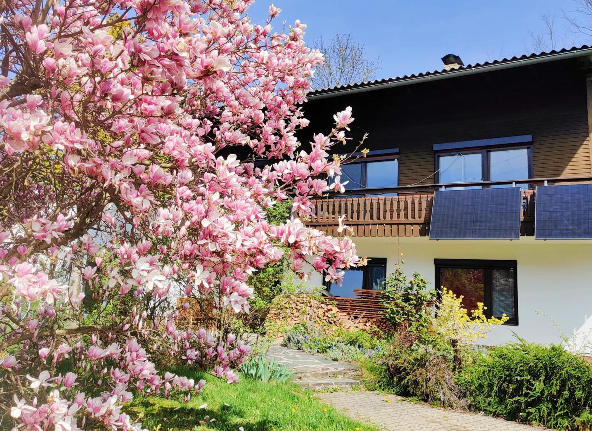 Wellness Apartment Keutschach Lakes Valley 滨湖科伊查赫 外观 照片