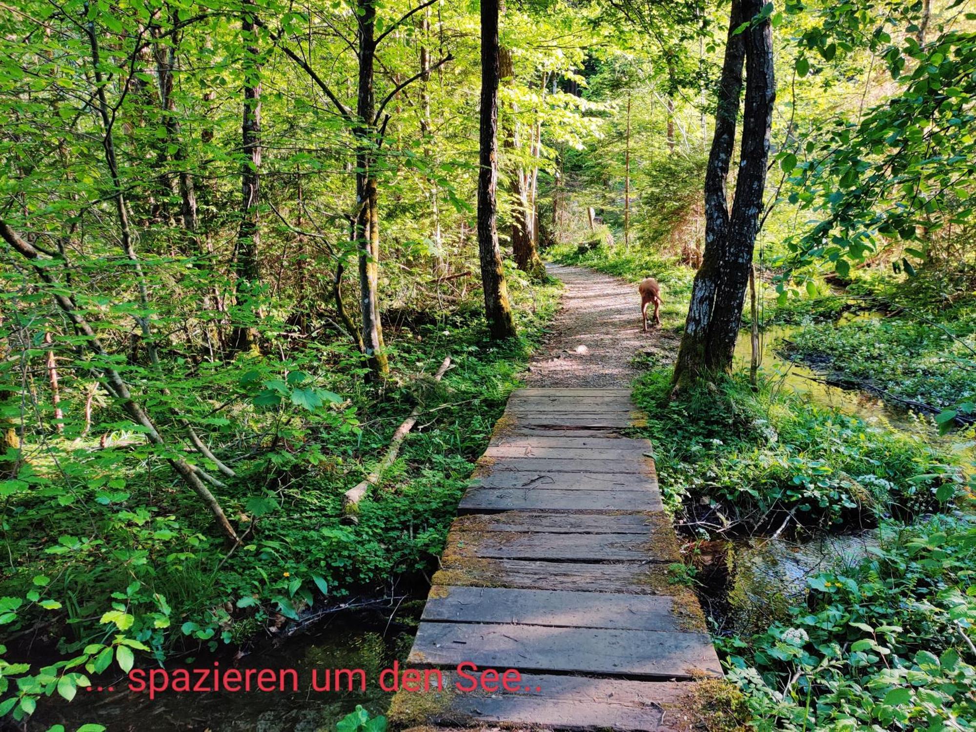 Wellness Apartment Keutschach Lakes Valley 滨湖科伊查赫 外观 照片